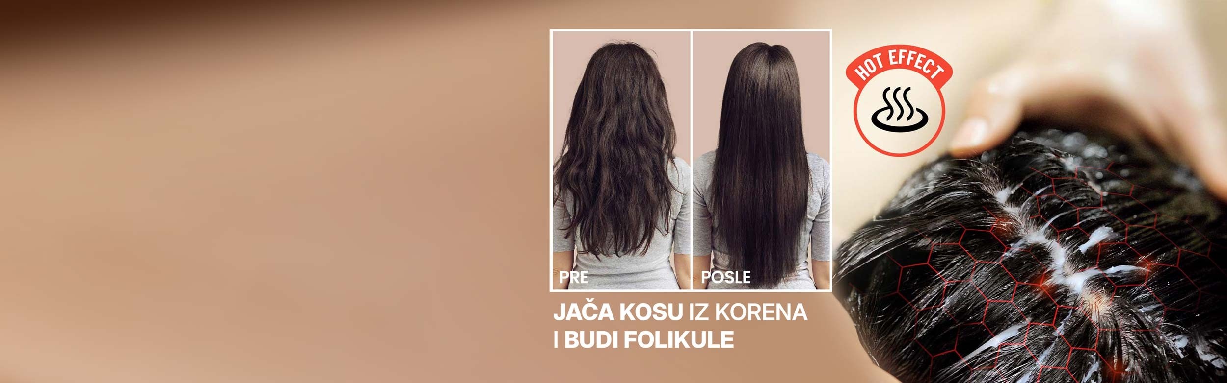 Moringa-maska-sekcija-1--SRB